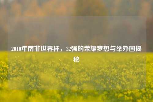 2010年南非世界杯,32强的荣耀梦想与举办国揭秘