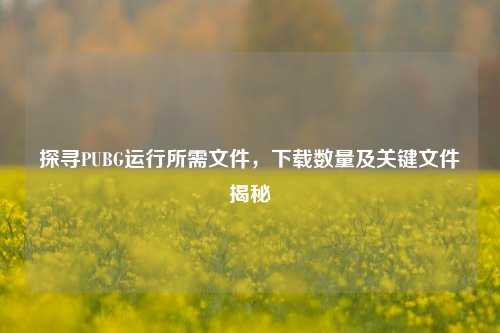 探寻PUBG运行所需文件,下载数量及关键文件揭秘
