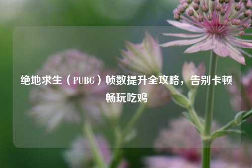 绝地求生（PUBG）帧数提升全攻略，告别卡顿畅玩吃鸡