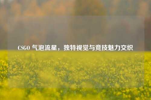 CSGO 气泡流星，独特视觉与竞技魅力交织
