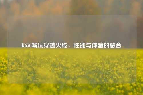 K650畅玩穿越火线，性能与体验的融合