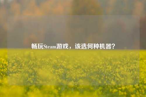 畅玩Steam游戏，该选何种机器？