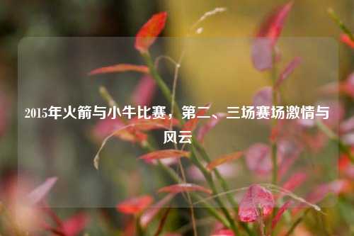 2015年火箭与小牛比赛,第二、三场赛场激情与风云