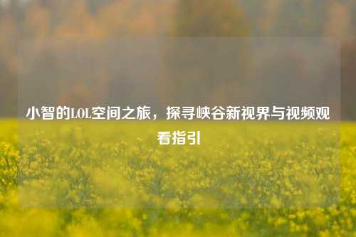 小智的LOL空间之旅,探寻峡谷新视界与视频观看指引