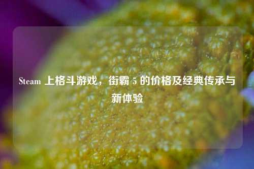 Steam 上格斗游戏，街霸 5 的价格及经典传承与新体验