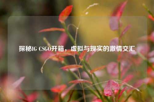 探秘IG CSGO开箱，虚拟与现实的激情交汇