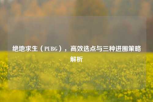 绝地求生(PUBG),高效选点与三种进圈策略解析