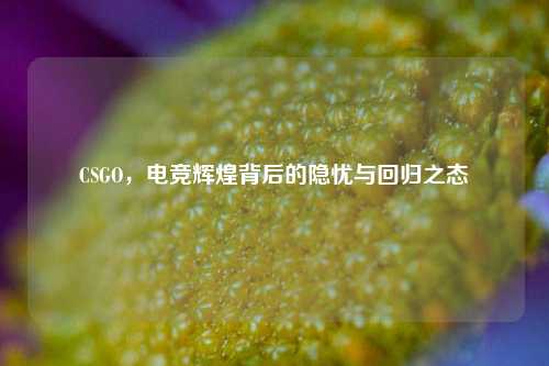 CSGO，电竞辉煌背后的隐忧与回归之态