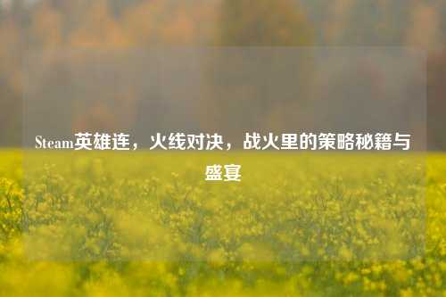 Steam英雄连,火线对决,战火里的策略秘籍与盛宴