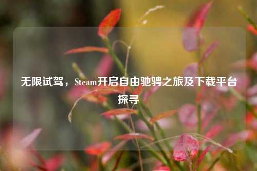 无限试驾，Steam开启自由驰骋之旅及下载平台探寻
