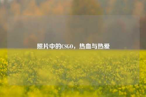 照片中的CSGO，热血与热爱