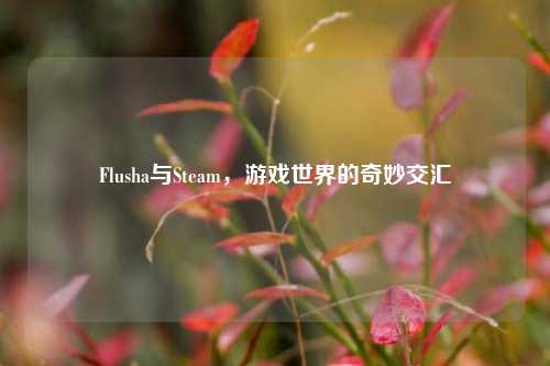 Flusha与Steam，游戏世界的奇妙交汇