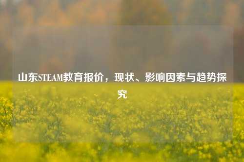 山东STEAM教育报价,现状、影响因素与趋势探究