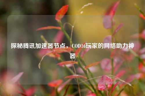 探秘腾讯加速器节点，COD16玩家的网络助力神器
