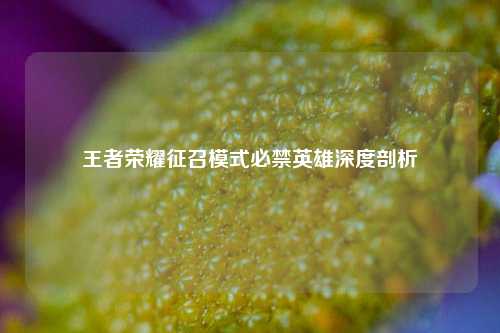 王者荣耀征召模式必禁英雄深度剖析