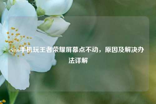 vivo手机玩王者荣耀屏幕点不动，原因及解决办法详解