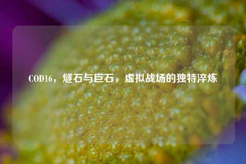 COD16，燧石与巨石，虚拟战场的独特淬炼