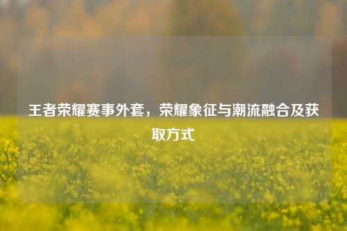 王者荣耀赛事外套，荣耀象征与潮流融合及获取方式