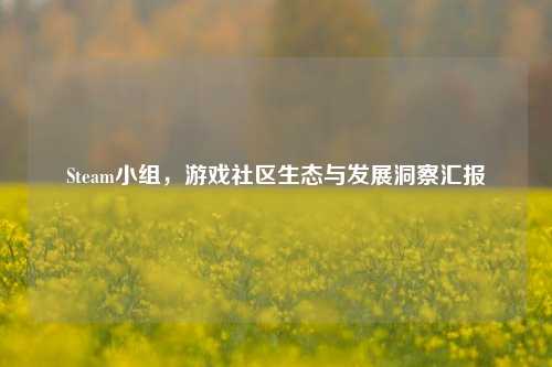 Steam小组，游戏社区生态与发展洞察汇报