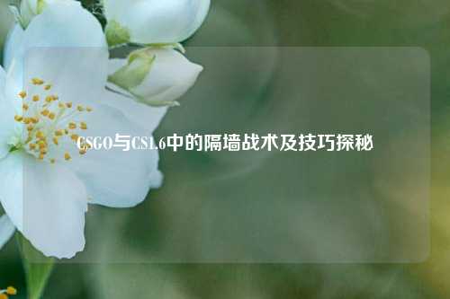 CSGO与CS1.6中的隔墙战术及技巧探秘