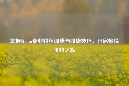 掌握Steam专业钓鱼调线与收线技巧,开启愉悦垂钓之旅