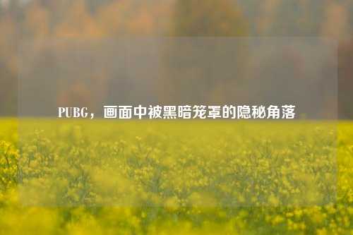 PUBG,画面中被黑暗笼罩的隐秘角落