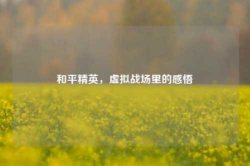 和平精英，虚拟战场里的感悟