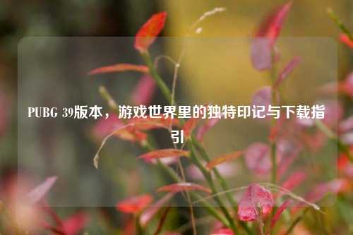 PUBG 39版本，游戏世界里的独特印记与下载指引