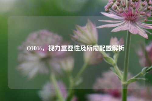 COD16，视力重要性及所需配置解析