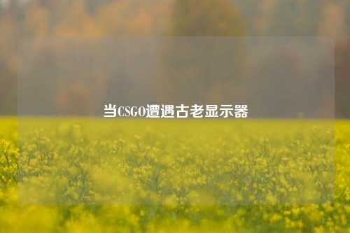 当CSGO遭遇古老显示器