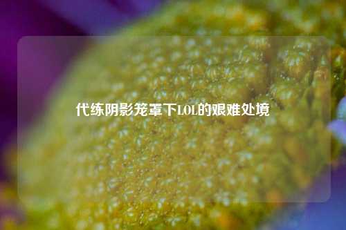 代练阴影笼罩下LOL的艰难处境