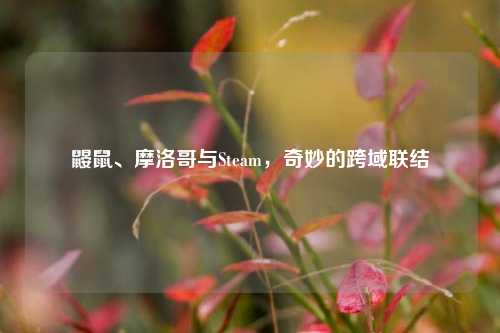 鼹鼠、摩洛哥与Steam，奇妙的跨域联结