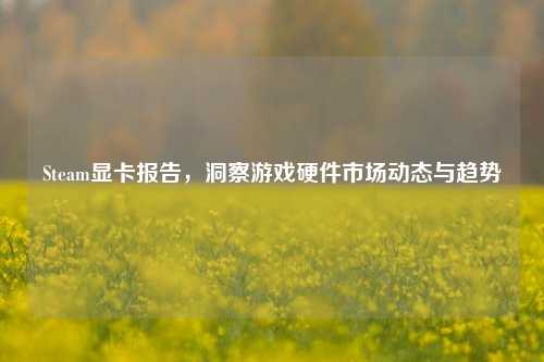 Steam显卡报告,洞察游戏硬件市场动态与趋势