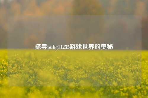 探寻pubg11235游戏世界的奥秘