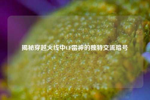 揭秘穿越火线中CF雷神的独特交流暗号