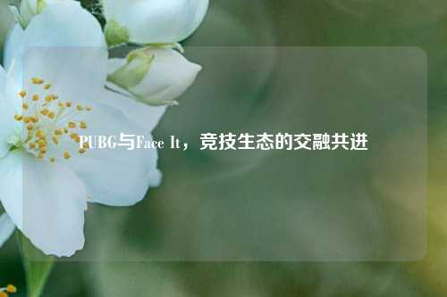 PUBG与Face It,竞技生态的交融共进