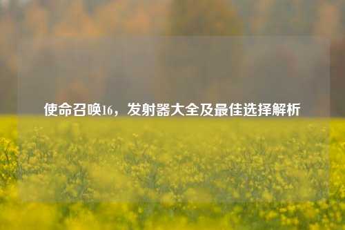 使命召唤16，发射器大全及最佳选择解析