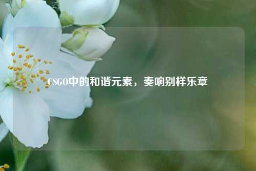 CSGO中的和谐元素，奏响别样乐章