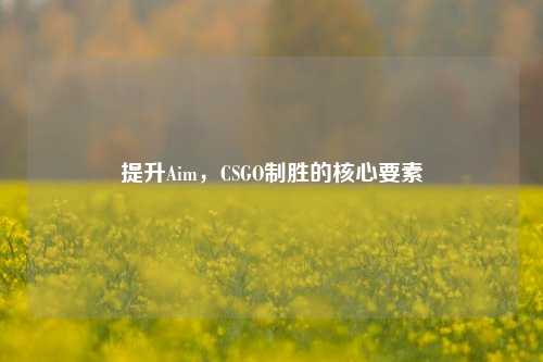提升Aim,CSGO制胜的核心要素