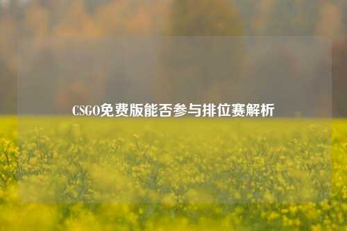 CSGO免费版能否参与排位赛解析