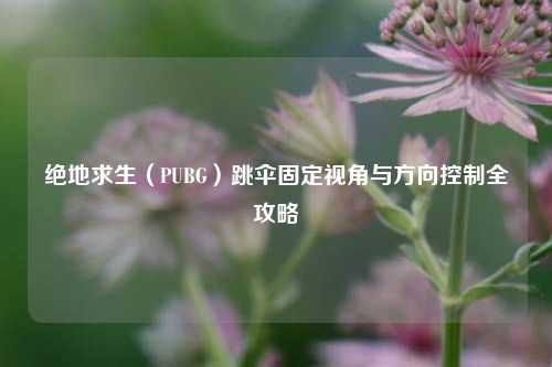 绝地求生(PUBG)跳伞固定视角与方向控制全攻略