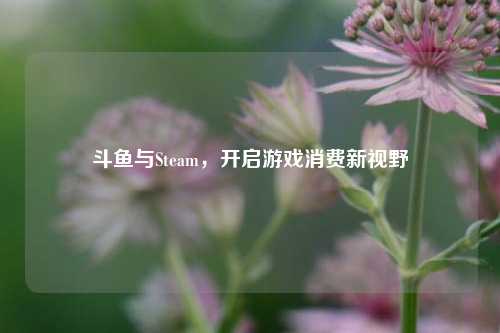 斗鱼与Steam，开启游戏消费新视野