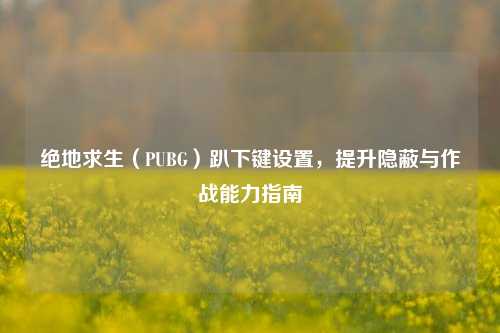 绝地求生(PUBG)趴下键设置,提升隐蔽与作战能力指南