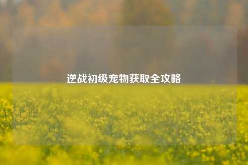 逆战初级宠物获取全攻略