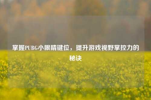 掌握PUBG小眼睛键位,提升游戏视野掌控力的秘诀