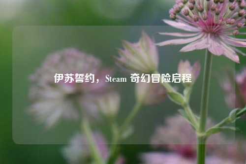 伊苏誓约，Steam 奇幻冒险启程