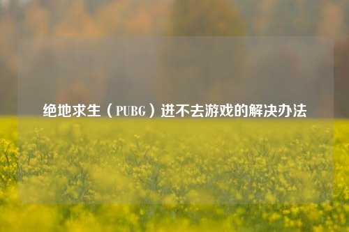 绝地求生(PUBG)进不去游戏的解决办法