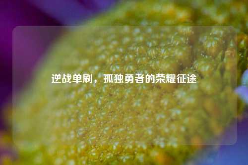 逆战单刷,孤独勇者的荣耀征途