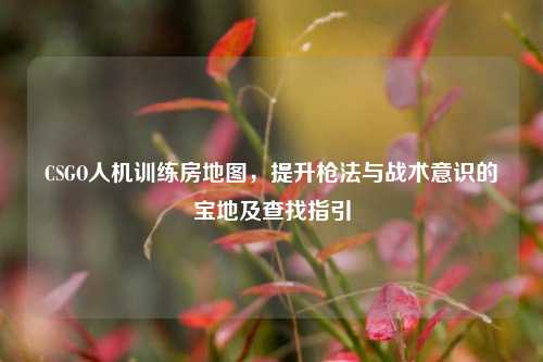 CSGO人机训练房地图,提升枪法与战术意识的宝地及查找指引