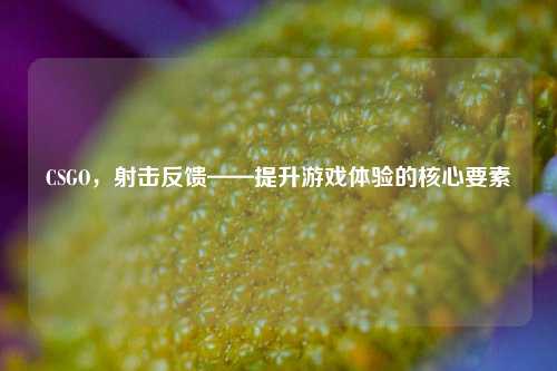 CSGO，射击反馈——提升游戏体验的核心要素
